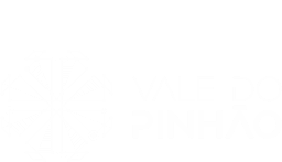 Empresa acelerada pelo Vale do Pinhão.